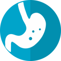 stomach icon g56b929609 1280