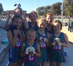 Manly Warringah Netball Charity Gala Day