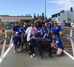 Walk to d'Feet MND Port Macquarie 2017