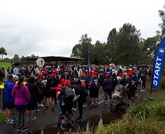 Walk to d'Feet MND Sydney 2017