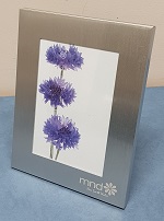 MND NSW Photo Frame